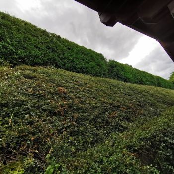 An image named /_app/immutable/assets/SectionImage_Gartenarbeit2.BCe7ZWbk.jpg